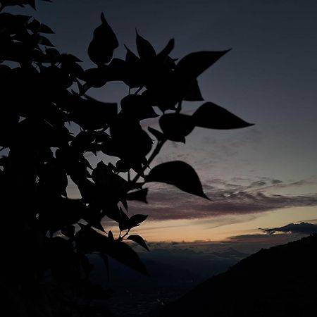 Alt'O Martinets Guest House Nendaz Ngoại thất bức ảnh