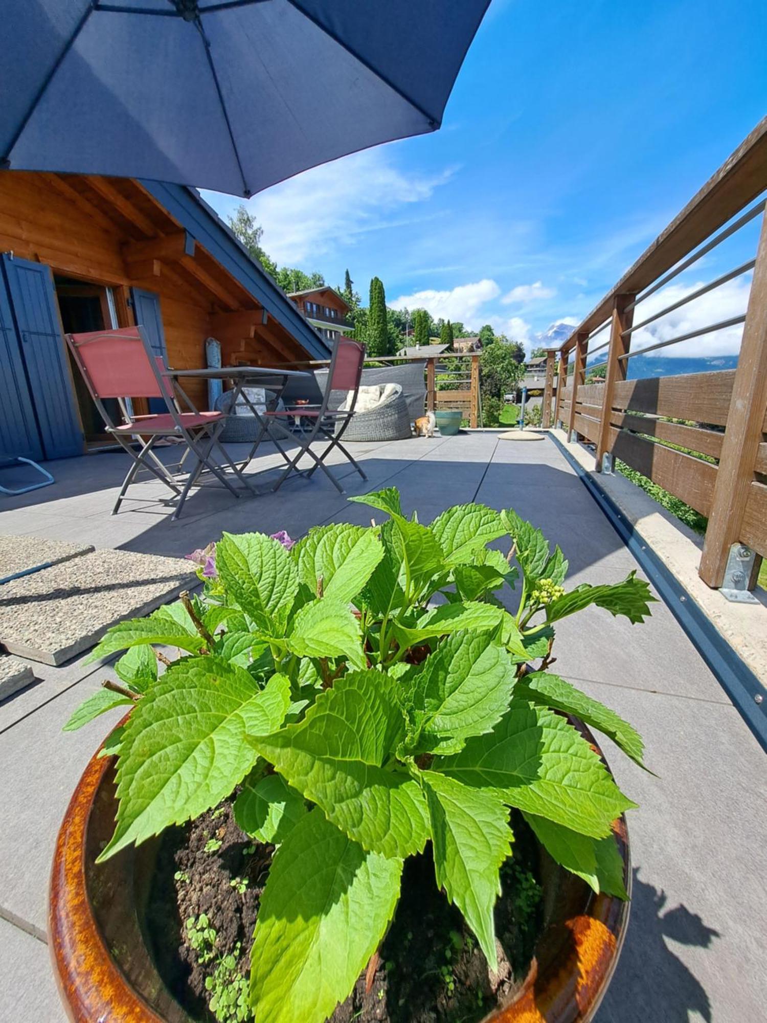 Alt'O Martinets Guest House Nendaz Ngoại thất bức ảnh